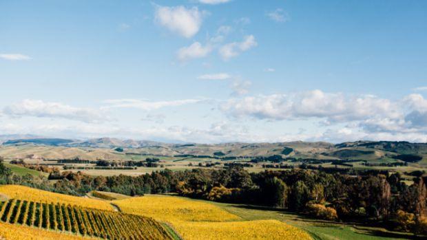 Black Estate - Image 2 Black Estate - Image 2